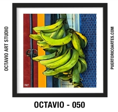 octavio-50