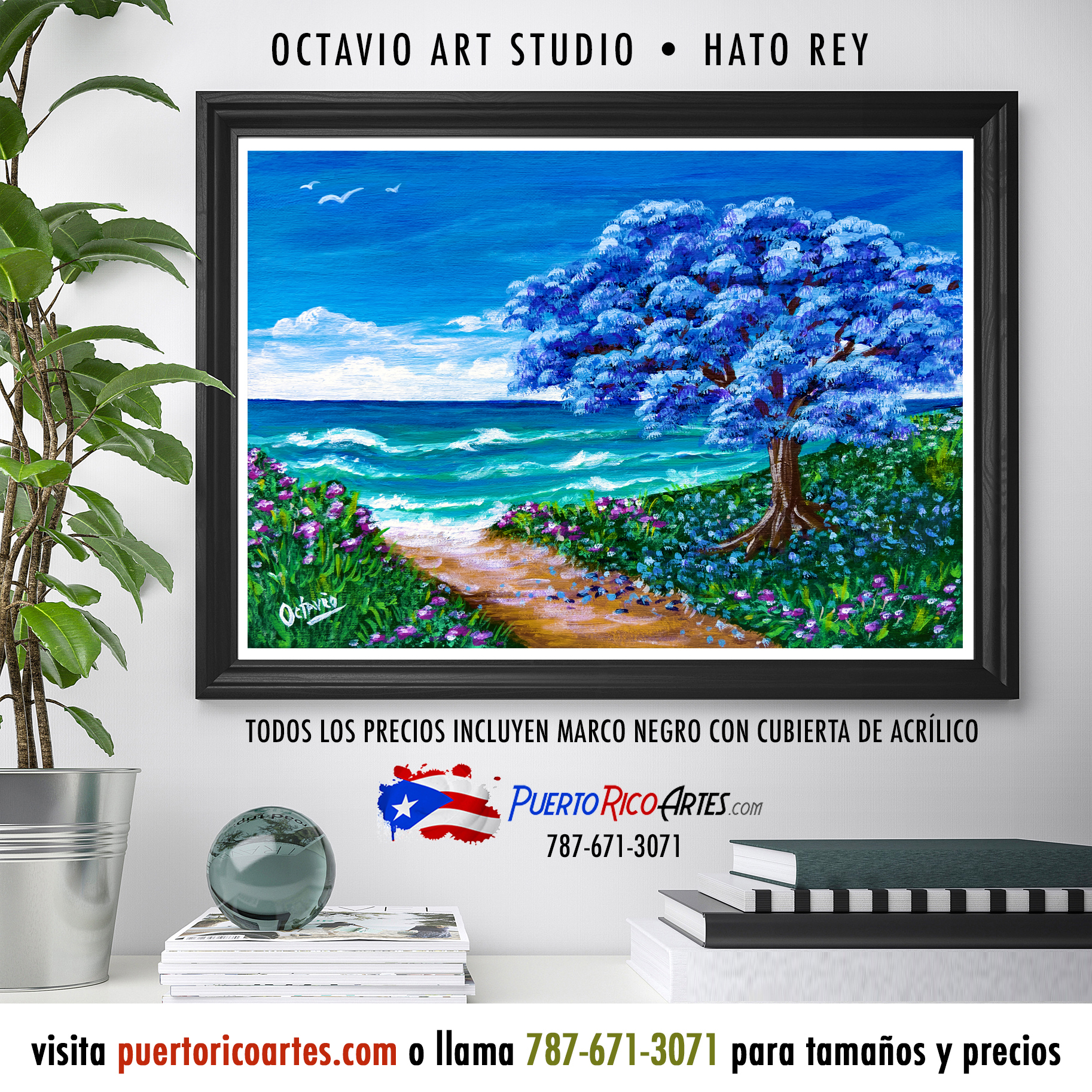 OP-011- Jacaranda y Playa, Puerto Rico